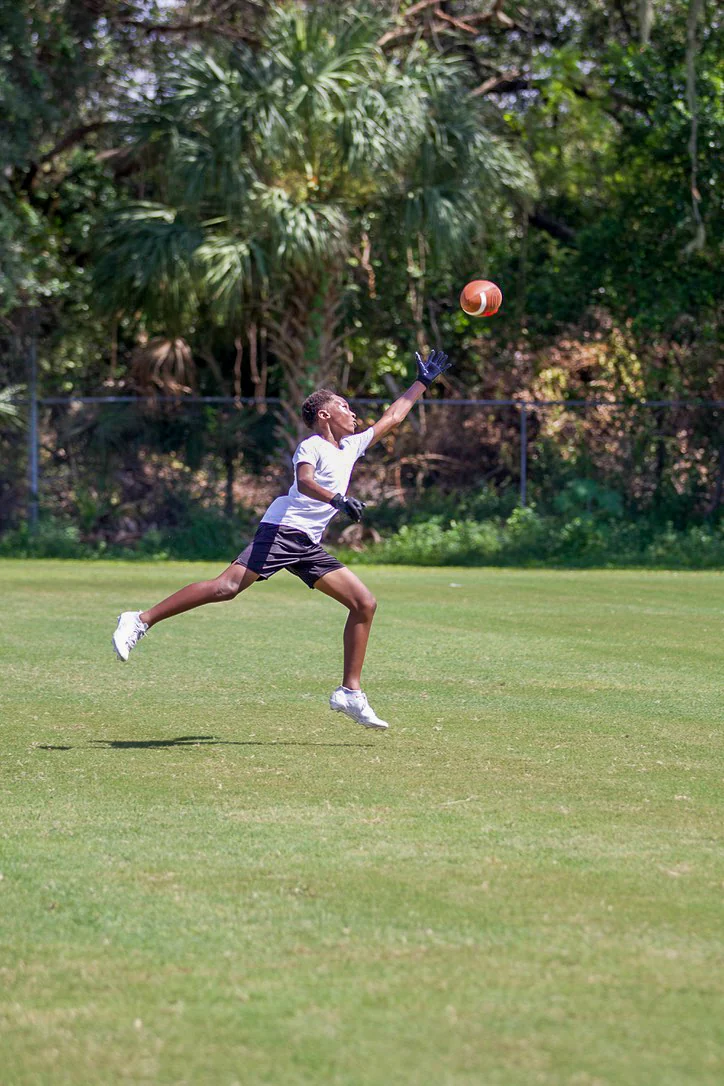 Quarterback dropping to throw